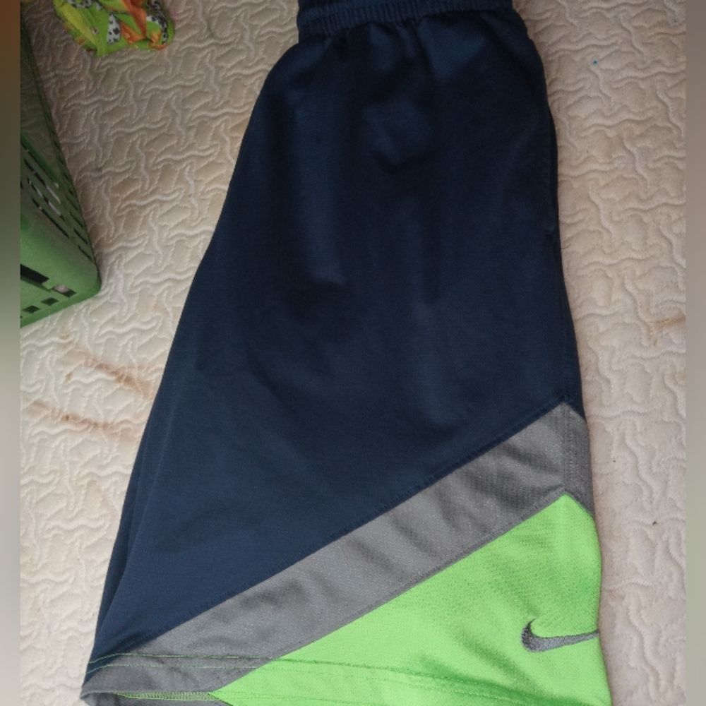 Medium Nike Blue and Green shorts